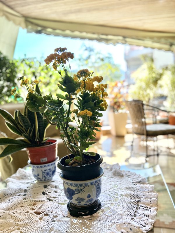 Apartamento com planta diferenciada no Jardim Oceânico - Rio de Janeiro - 