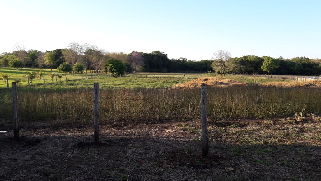 Est&acirc;ncia Cachoeirinha - Bonito MS Rua Monteiro BONITO - 