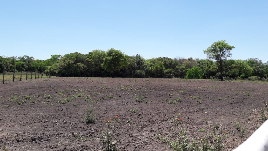 Est&acirc;ncia Cachoeirinha - Bonito MS Rua Monteiro BONITO - 