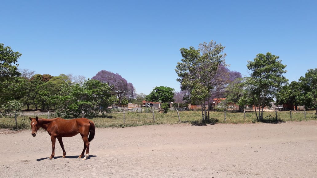 Est&acirc;ncia Cachoeirinha - Bonito MS Rua Monteiro BONITO - 