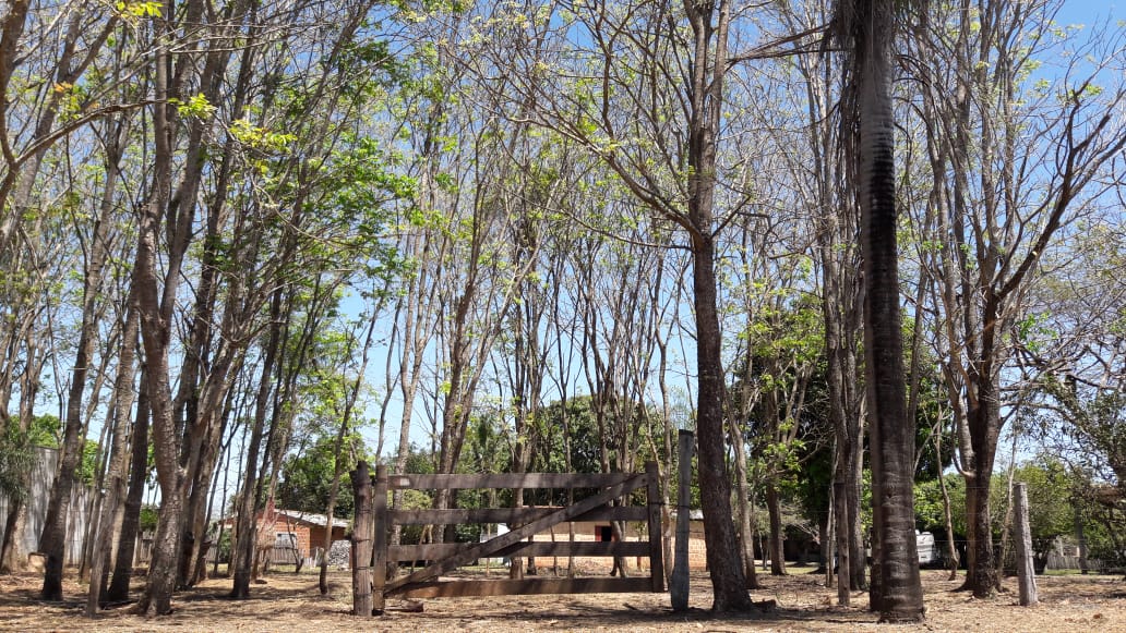 Est&acirc;ncia Cachoeirinha - Bonito MS Rua Monteiro BONITO - 