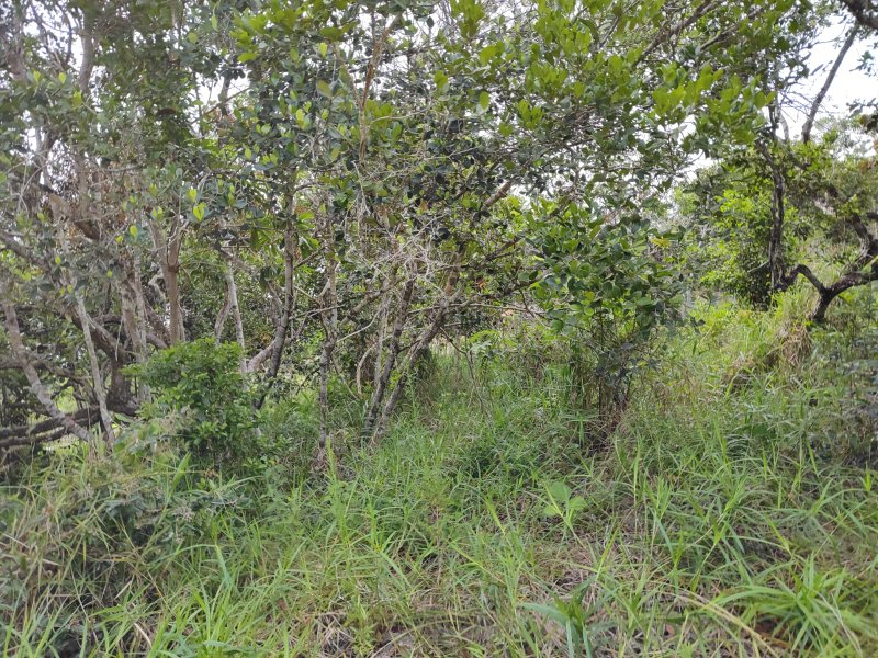 Terreno Villas I - Teko Porã TeKo Pora Porto Seguro - 