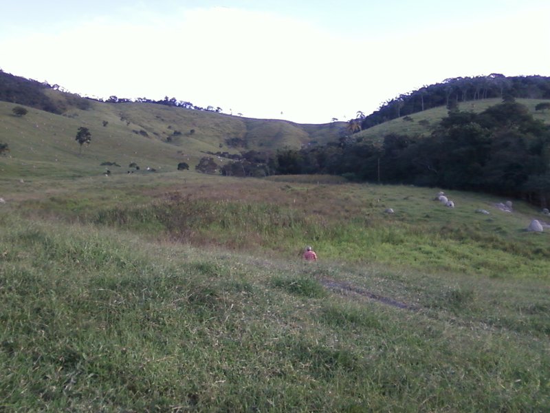 FAZENDA COM 54 ALQUEIRES EM SÃO LUIZ DO PARAITINGA/SÃO PAULO - SAO LUIS DO PARAITINGA - 