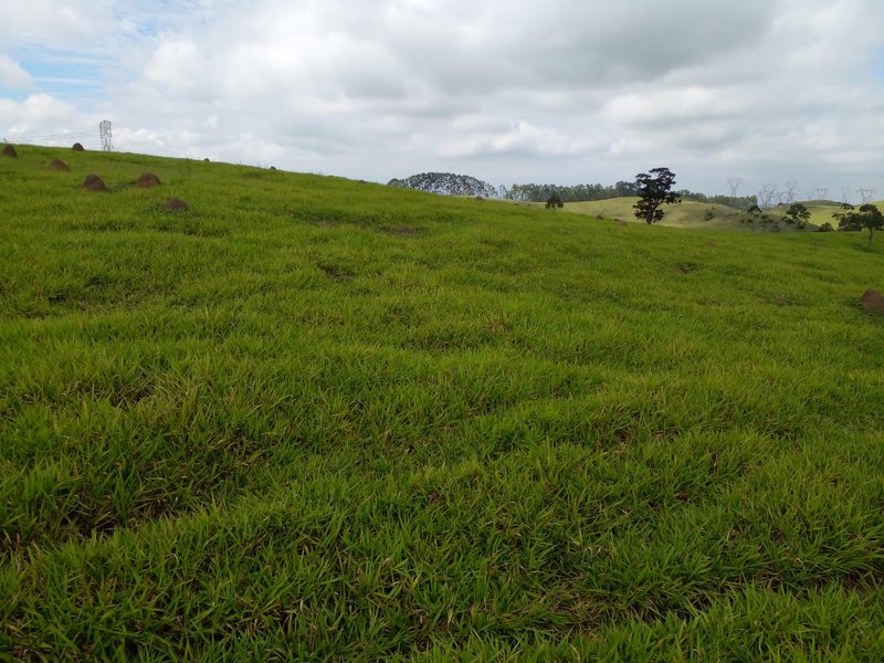 FAZENDA COM 54 ALQUEIRES EM SÃO LUIZ DO PARAITINGA/SÃO PAULO - SAO LUIS DO PARAITINGA - 