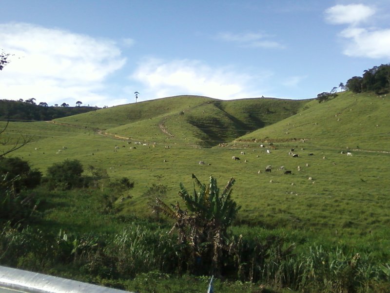 FAZENDA COM 54 ALQUEIRES EM SÃO LUIZ DO PARAITINGA/SÃO PAULO - SAO LUIS DO PARAITINGA - 