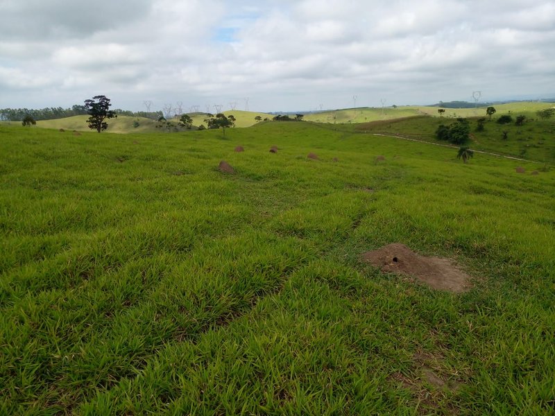 FAZENDA COM 54 ALQUEIRES EM SÃO LUIZ DO PARAITINGA/SÃO PAULO - SAO LUIS DO PARAITINGA - 
