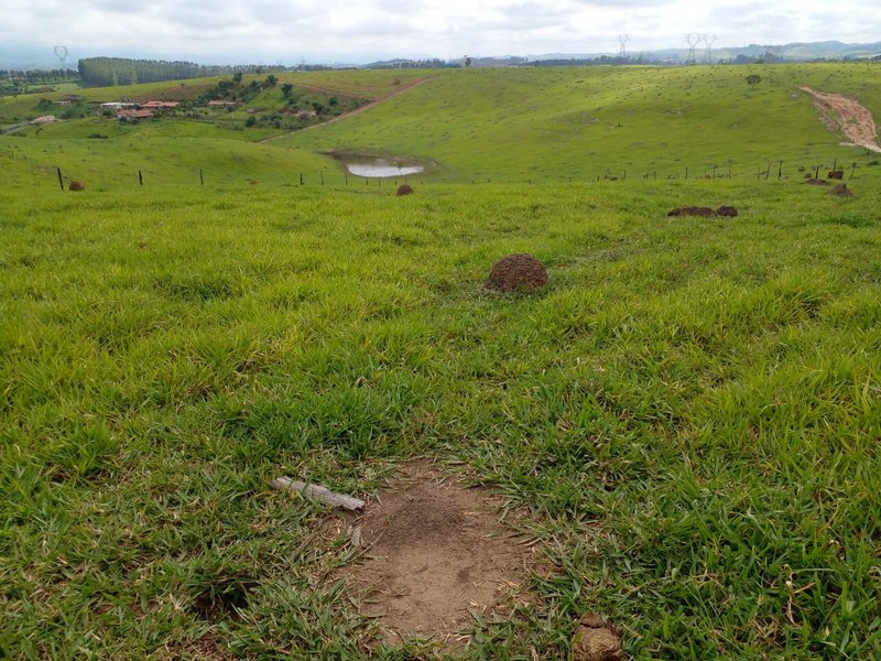 FAZENDA COM 54 ALQUEIRES EM SÃO LUIZ DO PARAITINGA/SÃO PAULO - SAO LUIS DO PARAITINGA - 