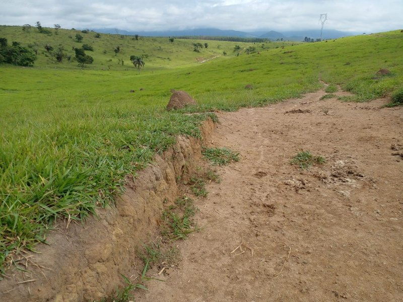 FAZENDA COM 54 ALQUEIRES EM SÃO LUIZ DO PARAITINGA/SÃO PAULO - SAO LUIS DO PARAITINGA - 