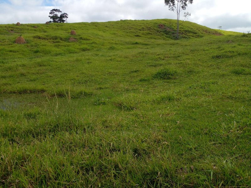 FAZENDA COM 54 ALQUEIRES EM SÃO LUIZ DO PARAITINGA/SÃO PAULO - SAO LUIS DO PARAITINGA - 