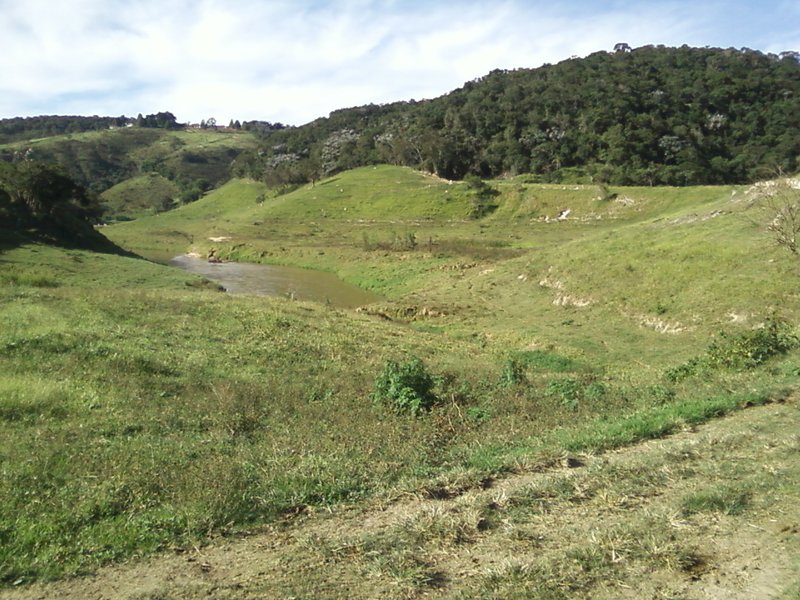 FAZENDA COM 54 ALQUEIRES EM SÃO LUIZ DO PARAITINGA/SÃO PAULO - SAO LUIS DO PARAITINGA - 