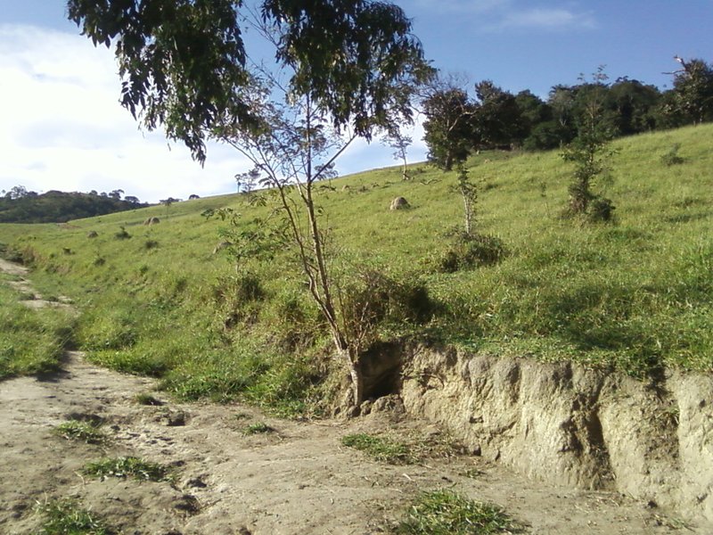 FAZENDA COM 54 ALQUEIRES EM SÃO LUIZ DO PARAITINGA/SÃO PAULO - SAO LUIS DO PARAITINGA - 
