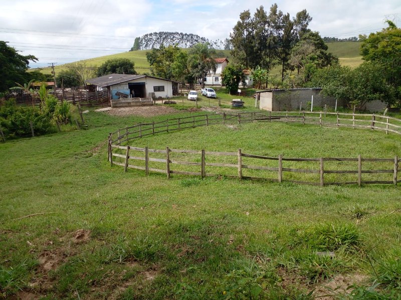 FAZENDA COM 54 ALQUEIRES EM SÃO LUIZ DO PARAITINGA/SÃO PAULO - SAO LUIS DO PARAITINGA - 