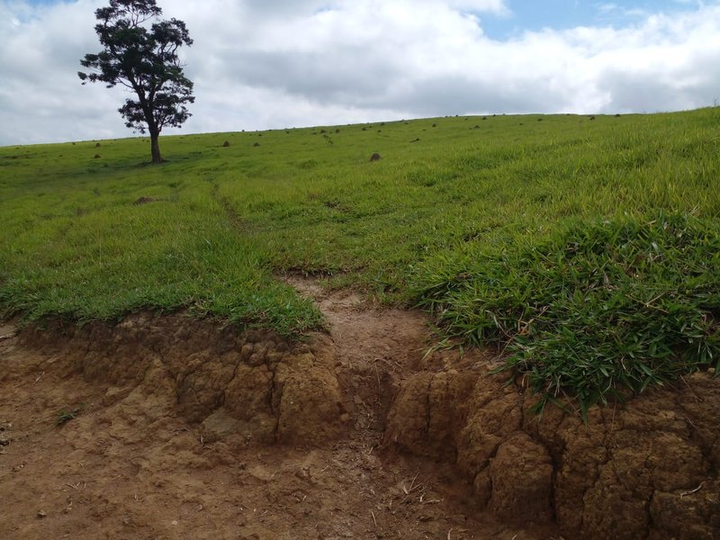 FAZENDA COM 54 ALQUEIRES EM SÃO LUIZ DO PARAITINGA/SÃO PAULO - SAO LUIS DO PARAITINGA - 