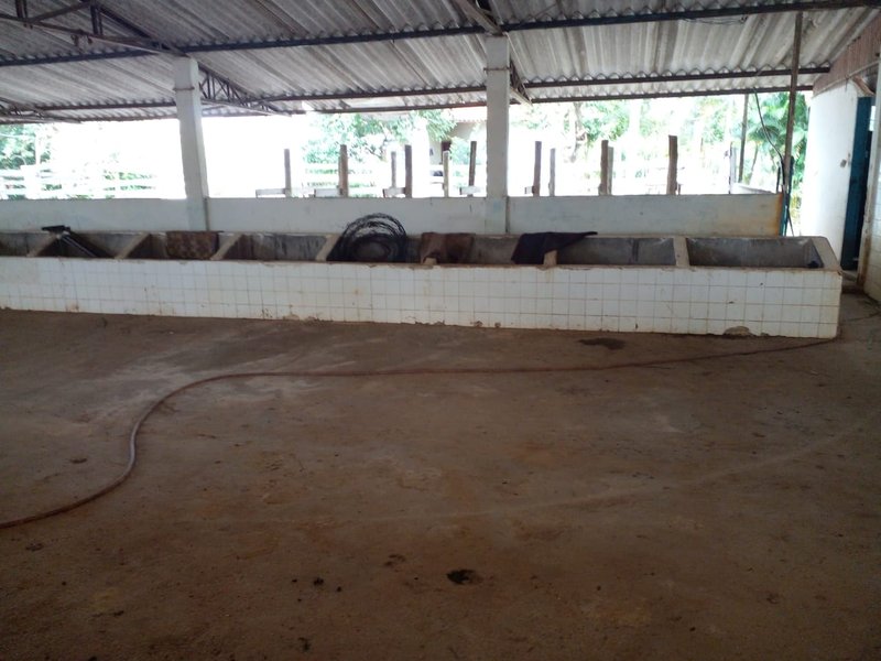 FAZENDA COM 54 ALQUEIRES EM SÃO LUIZ DO PARAITINGA/SÃO PAULO - SAO LUIS DO PARAITINGA - 