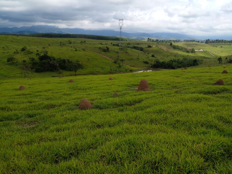 FAZENDA COM 54 ALQUEIRES EM SÃO LUIZ DO PARAITINGA/SÃO PAULO - SAO LUIS DO PARAITINGA - 