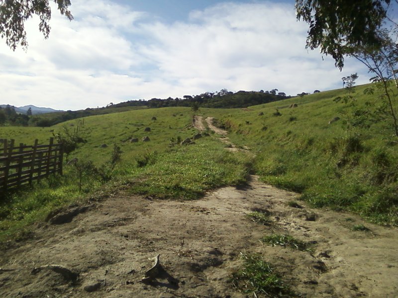 FAZENDA COM 54 ALQUEIRES EM SÃO LUIZ DO PARAITINGA/SÃO PAULO - SAO LUIS DO PARAITINGA - 