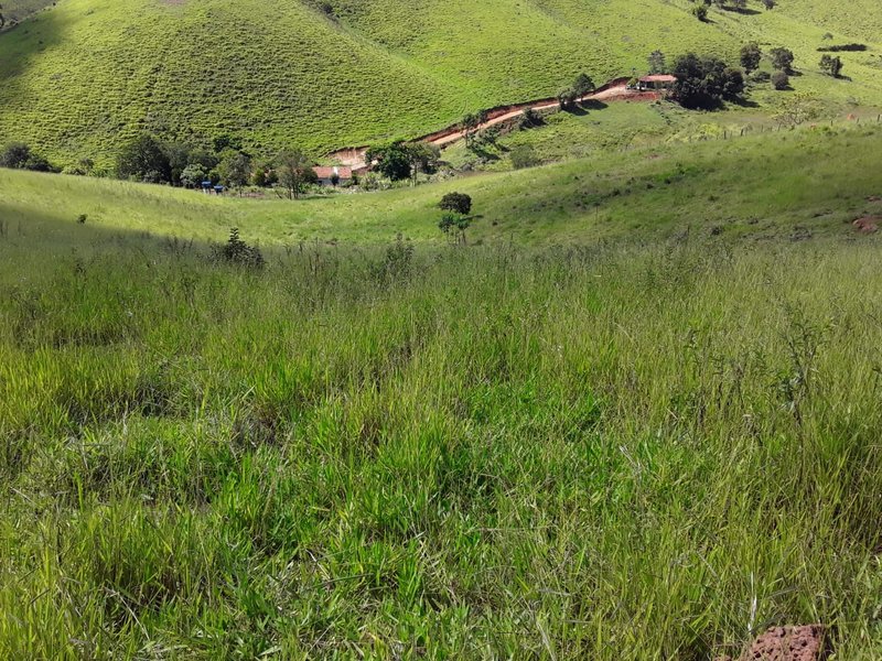 SÍTIO COM 48.000 METROS EM SÃO LUIZ DO PARAITINGA/SÃO PAULO - SAO LUIS DO PARAITINGA - 