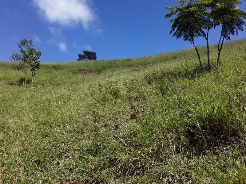 SÍTIO COM 48.000 METROS EM SÃO LUIZ DO PARAITINGA/SÃO PAULO - SAO LUIS DO PARAITINGA - 