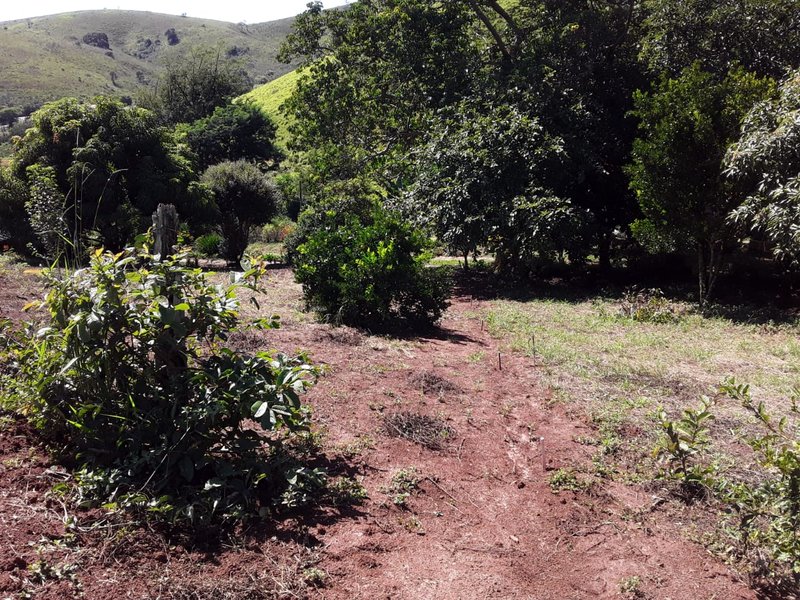 SÍTIO COM 48.000 METROS EM SÃO LUIZ DO PARAITINGA/SÃO PAULO - SAO LUIS DO PARAITINGA - 