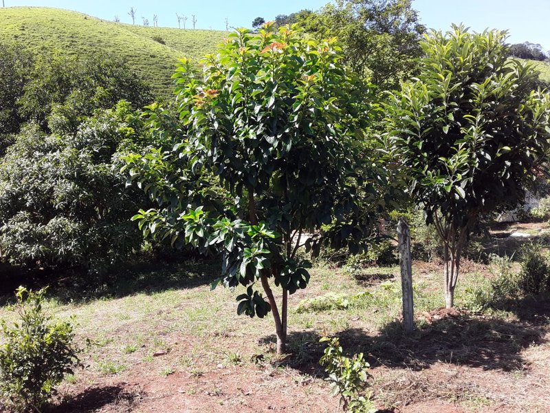 SÍTIO COM 48.000 METROS EM SÃO LUIZ DO PARAITINGA/SÃO PAULO - SAO LUIS DO PARAITINGA - 