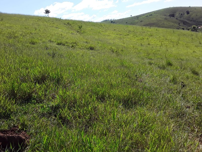 SÍTIO COM 48.000 METROS EM SÃO LUIZ DO PARAITINGA/SÃO PAULO - SAO LUIS DO PARAITINGA - 