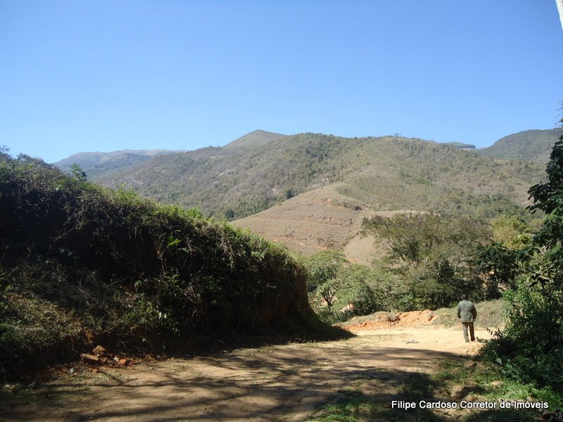 FAZENDA COM 120 ALQUEIRES EM SILVEIRAS/SÃO PAULO - SILVEIRAS - 