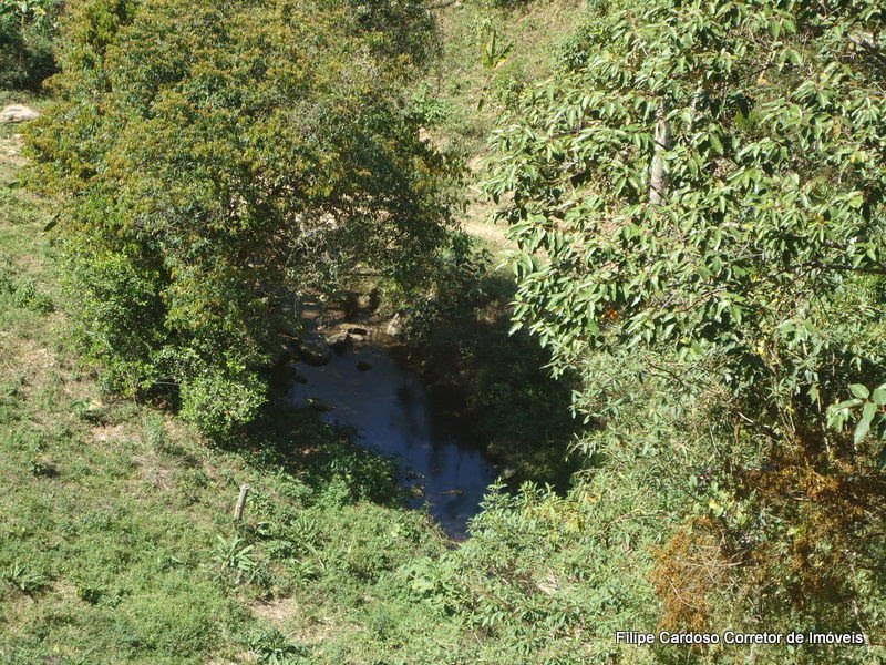 FAZENDA COM 120 ALQUEIRES EM SILVEIRAS/SÃO PAULO - SILVEIRAS - 