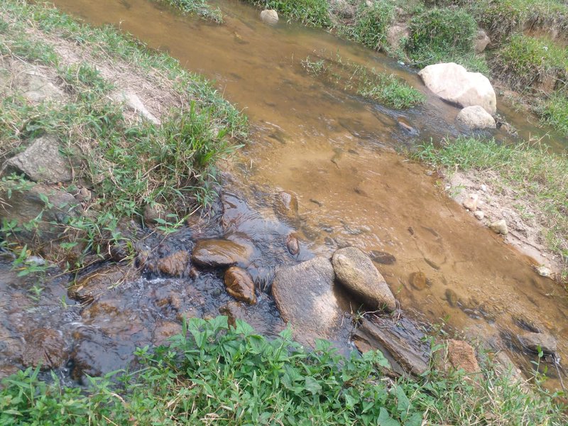 FAZENDA COM 120 ALQUEIRES EM SILVEIRAS/SÃO PAULO - SILVEIRAS - 