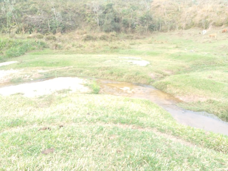 FAZENDA COM 120 ALQUEIRES EM SILVEIRAS/SÃO PAULO - SILVEIRAS - 