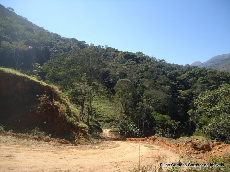 FAZENDA COM 120 ALQUEIRES EM SILVEIRAS/SÃO PAULO - SILVEIRAS - 
