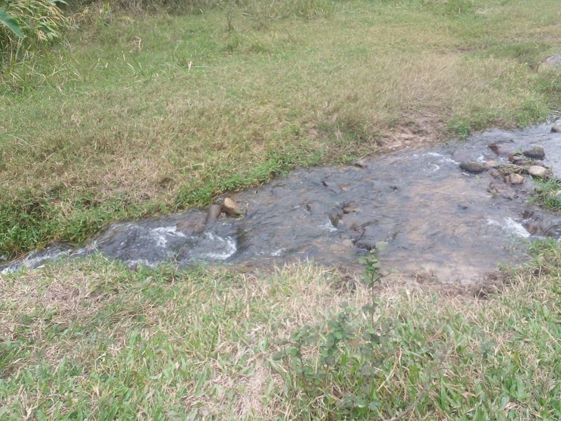 FAZENDA COM 120 ALQUEIRES EM SILVEIRAS/SÃO PAULO - SILVEIRAS - 