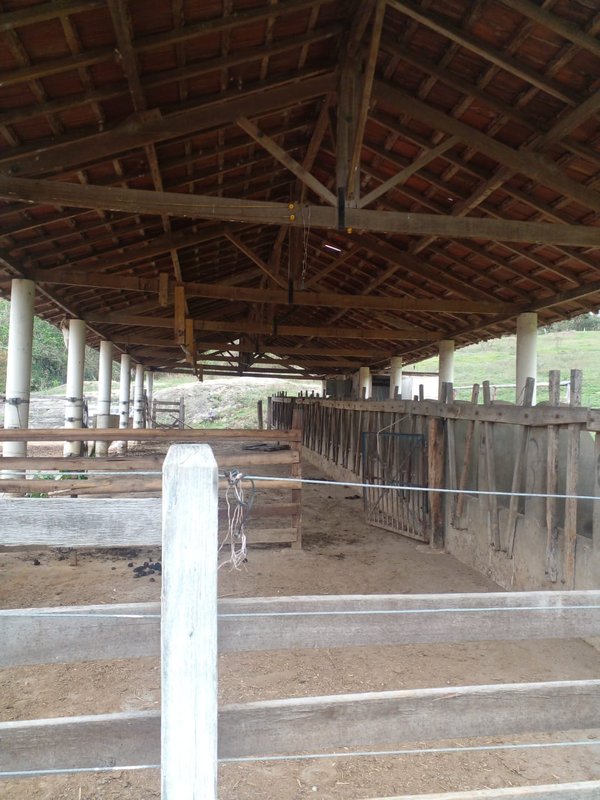 FAZENDA COM 120 ALQUEIRES EM SILVEIRAS/SÃO PAULO - SILVEIRAS - 