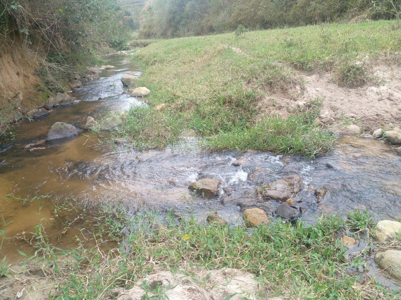 FAZENDA COM 120 ALQUEIRES EM SILVEIRAS/SÃO PAULO - SILVEIRAS - 