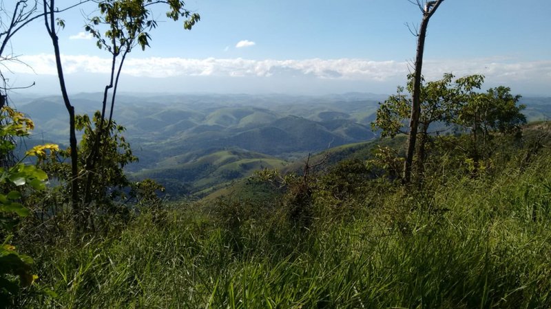 FAZENDA COM 120 ALQUEIRES EM SILVEIRAS/SÃO PAULO - SILVEIRAS - 