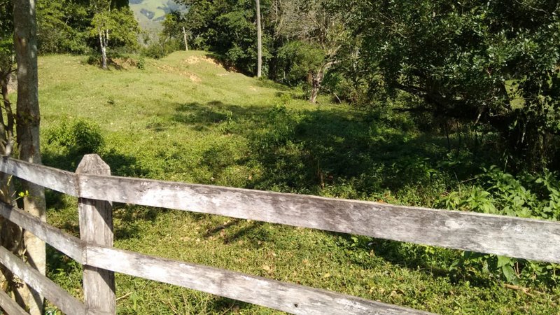 FAZENDA COM 120 ALQUEIRES EM SILVEIRAS/SÃO PAULO - SILVEIRAS - 