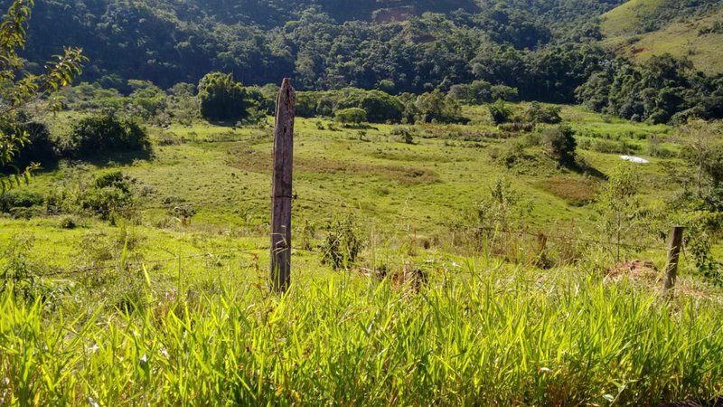 FAZENDA COM 120 ALQUEIRES EM SILVEIRAS/SÃO PAULO - SILVEIRAS - 