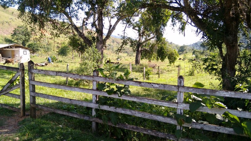 FAZENDA COM 120 ALQUEIRES EM SILVEIRAS/SÃO PAULO - SILVEIRAS - 
