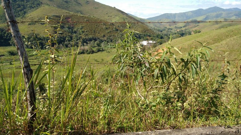 FAZENDA COM 120 ALQUEIRES EM SILVEIRAS/SÃO PAULO - SILVEIRAS - 