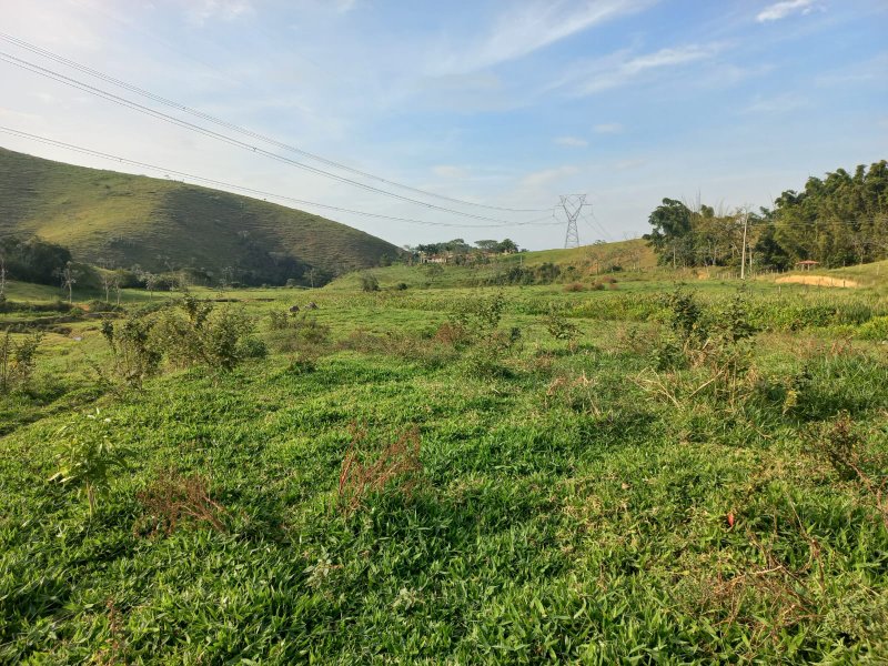FAZENDA COM 130 ALQUEIRES EM AREIAS/SÃO PAULO - AREIAS - 