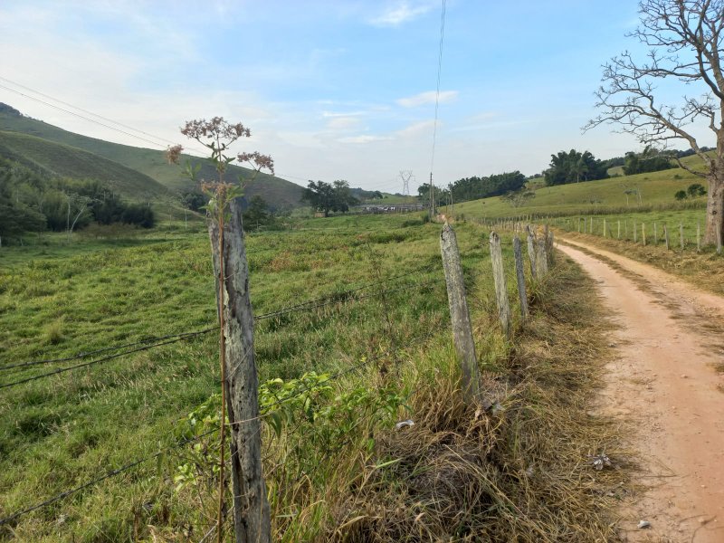 FAZENDA COM 130 ALQUEIRES EM AREIAS/SÃO PAULO - AREIAS - 
