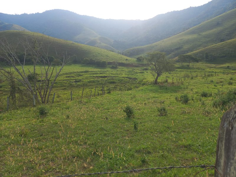 FAZENDA COM 130 ALQUEIRES EM AREIAS/SÃO PAULO - AREIAS - 