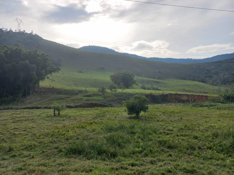 FAZENDA COM 130 ALQUEIRES EM AREIAS/SÃO PAULO - AREIAS - 