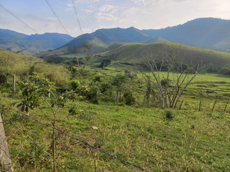 FAZENDA COM 130 ALQUEIRES EM AREIAS/SÃO PAULO - AREIAS - 