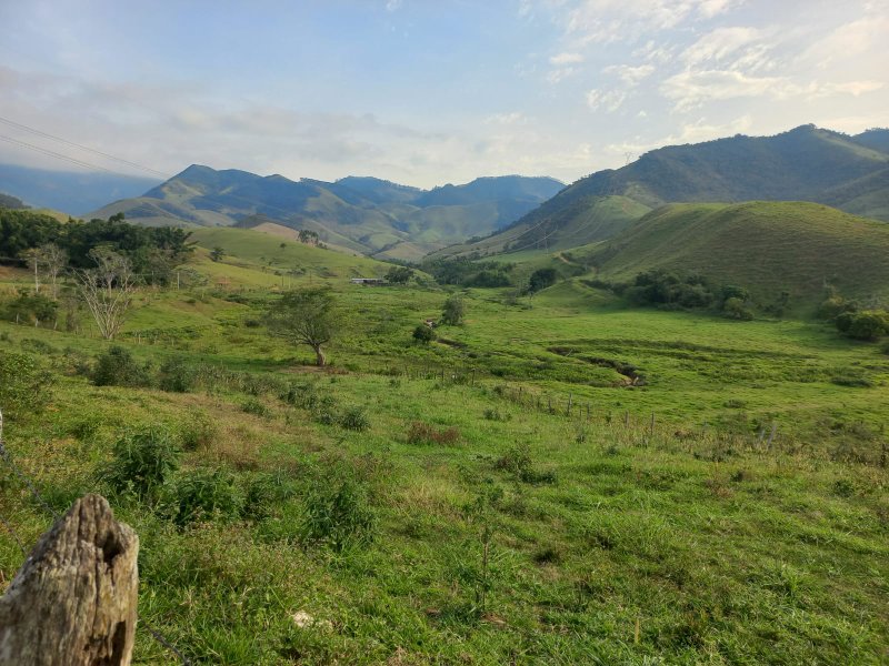 FAZENDA COM 130 ALQUEIRES EM AREIAS/SÃO PAULO - AREIAS - 