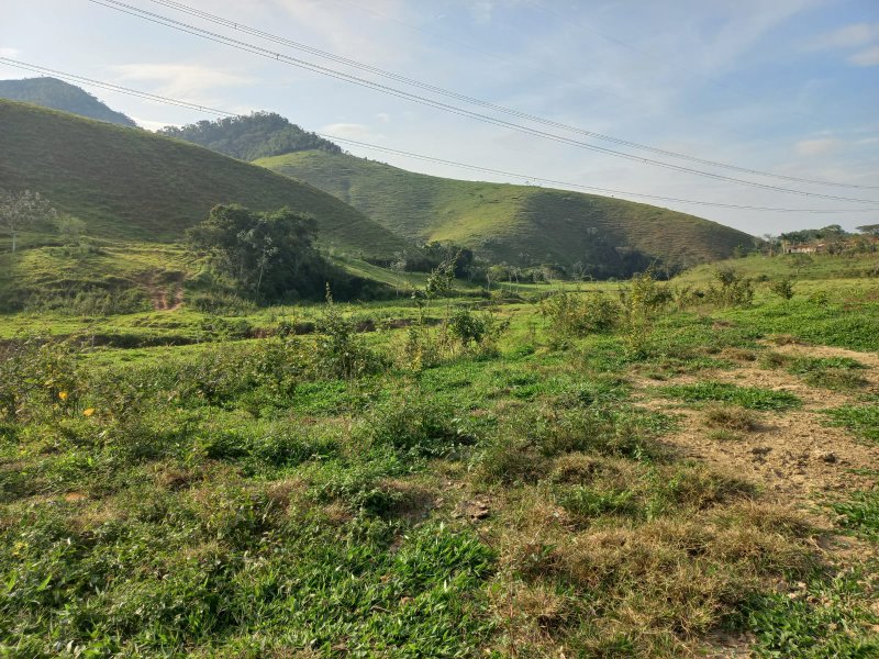 FAZENDA COM 130 ALQUEIRES EM AREIAS/SÃO PAULO - AREIAS - 
