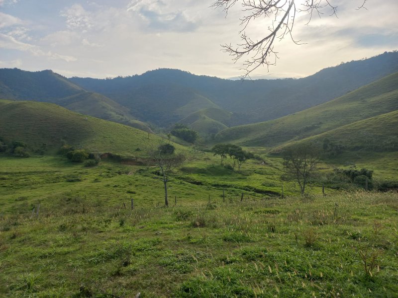 FAZENDA COM 130 ALQUEIRES EM AREIAS/SÃO PAULO - AREIAS - 
