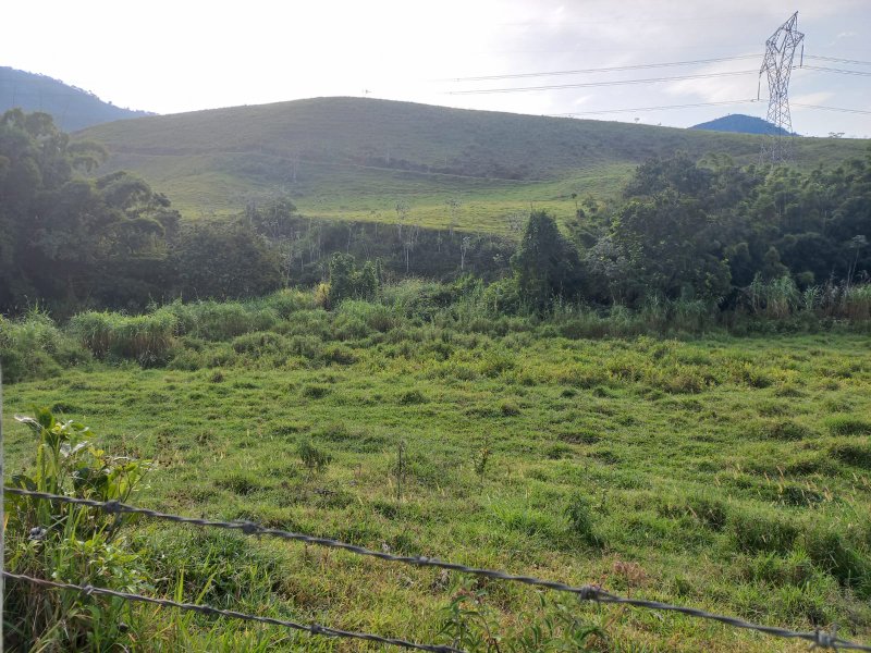FAZENDA COM 130 ALQUEIRES EM AREIAS/SÃO PAULO - AREIAS - 
