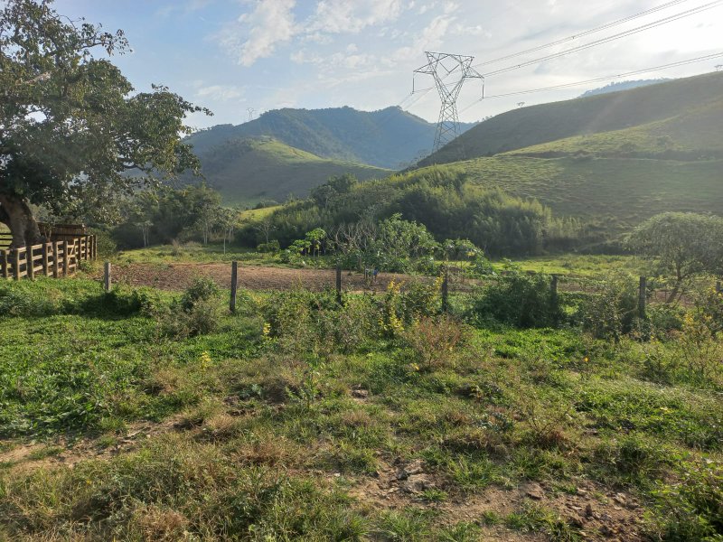 FAZENDA COM 130 ALQUEIRES EM AREIAS/SÃO PAULO - AREIAS - 