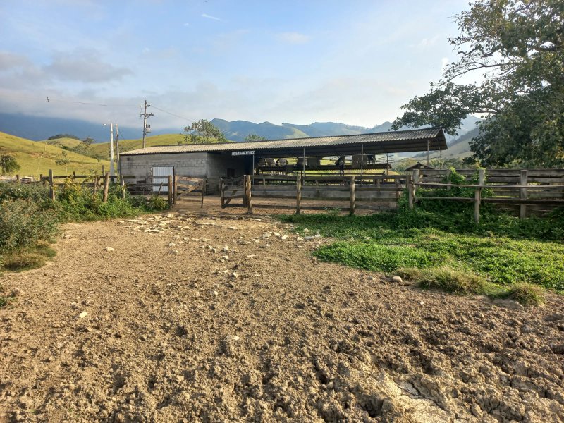 FAZENDA COM 130 ALQUEIRES EM AREIAS/SÃO PAULO - AREIAS - 