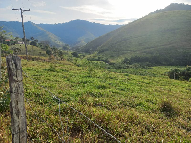 FAZENDA COM 130 ALQUEIRES EM AREIAS/SÃO PAULO - AREIAS - 